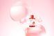 Концентрована сироватка з колагеном ROUND LAB Camellia Deep Collagen Firming Ampoule, 30 ml RL29 фото 6